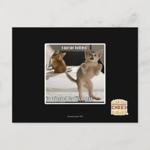 Carte Postale Raptor Kitten