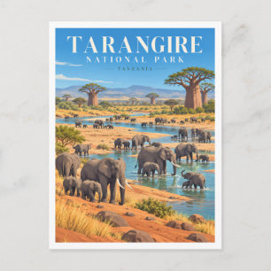 Carte Postale Rassemblement d'éléphants du parc national de Tara