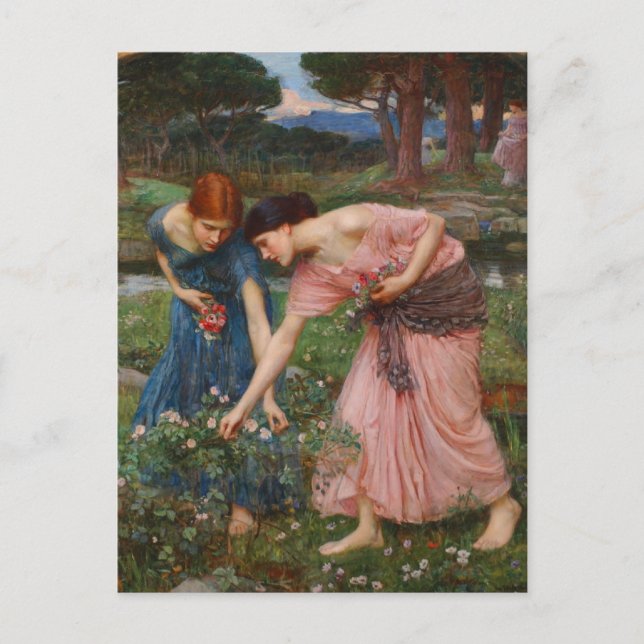 Carte Postale Rassembler Ye Rosebuds par John W. Waterhouse (Devant)