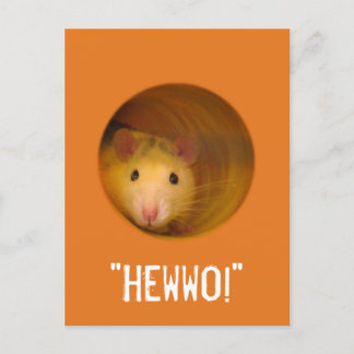 Carte Postale Rat d'illusion optique drôle dans trou