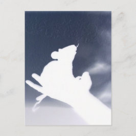 Carte Postale Rat d'ombre
