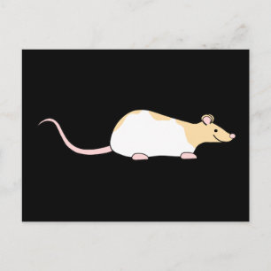 Carte Postale Rat. Faun et à capuchon blanc Varié.