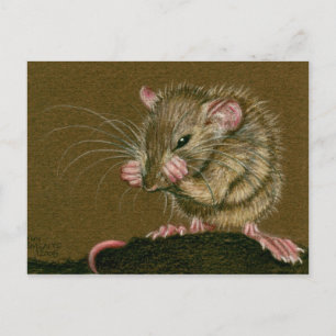 Carte Postale Rat Mad Paks Up