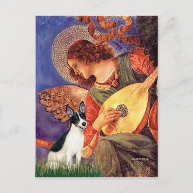 Carte Postale Rat Terrier - Mandolin Angel (Devant)