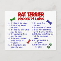 RAT TERRIER, propriété Lois 2