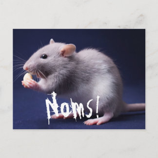 Carte Postale Ratty Lolz