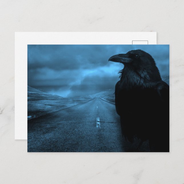 Carte Postale Raven on Road (Devant / Derrière)