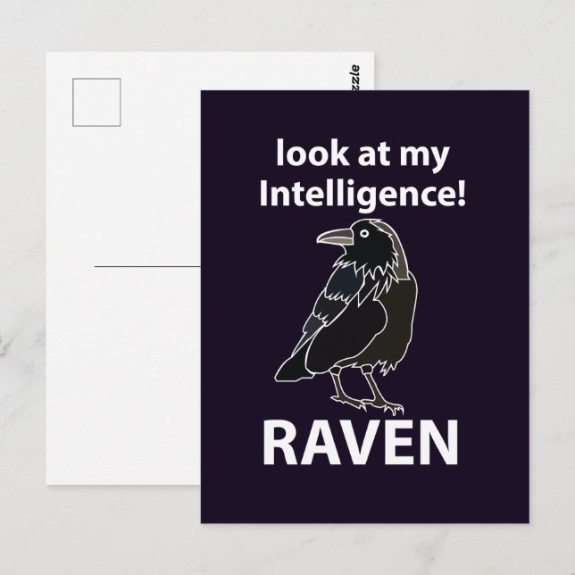 Carte Postale Raven Regarde Mon Corbeau D'Intelligence (Devant / Derrière)