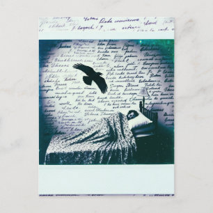 Carte Postale Raven survole l'homme endormi