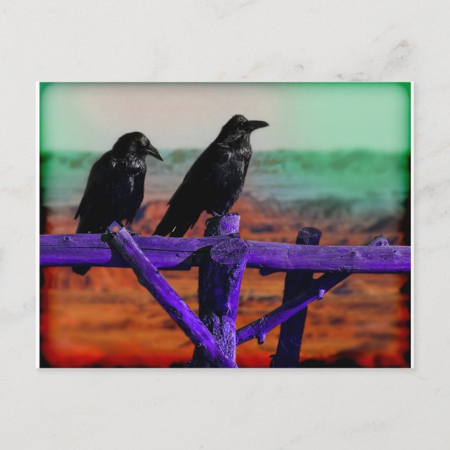 Carte Postale Ravens (Devant)