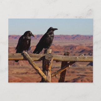 Carte Postale Ravens