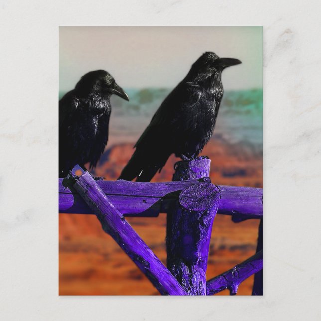 Carte Postale Ravens (Devant)