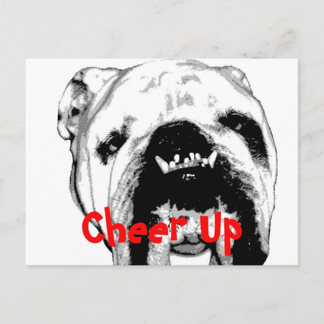 Carte Postale Ravi (Devant)