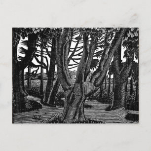 Carte Postale Ravilieux - Bois à l'extérieur de Florence