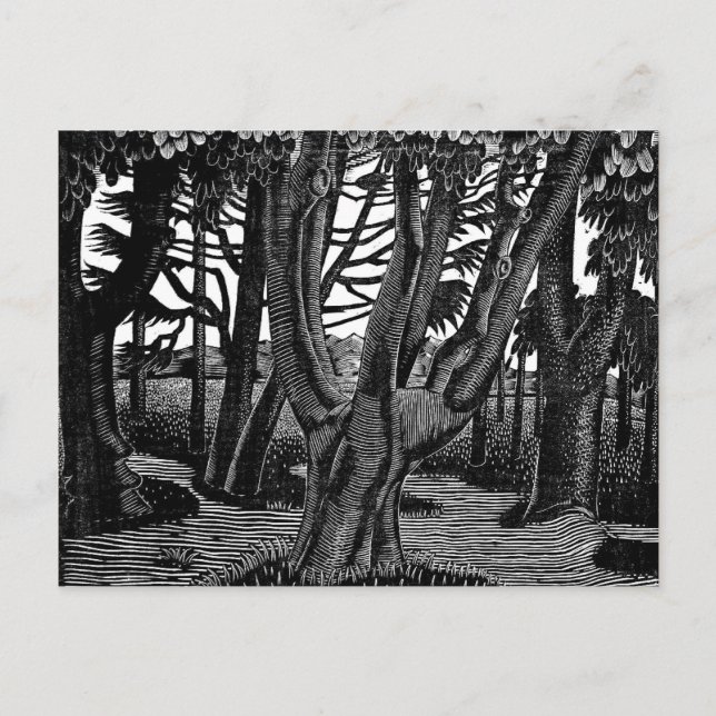 Carte Postale Ravilieux - Bois en dehors de Florence (Devant)