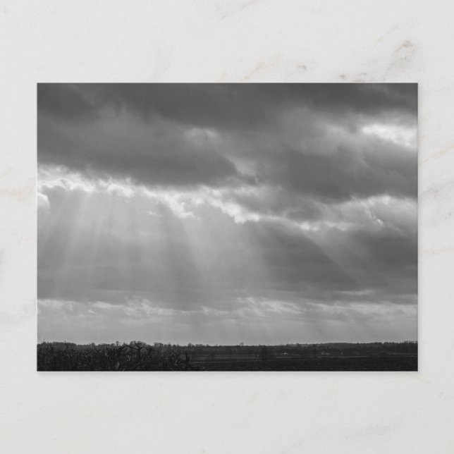 Carte Postale Rayons solaires noirs et blancs (Devant)