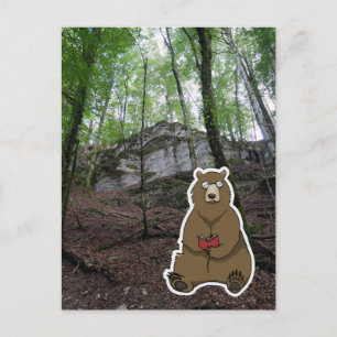 Carte Postale Reader Bear (color)
