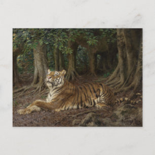 Carte Postale Recensement du tigre par Geza Vastagh