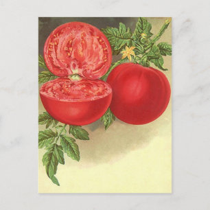 Carte postale Recette Conception Pour Partager Fav