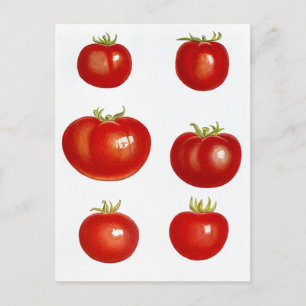 Carte postale Recette Conception Pour Partager Fav