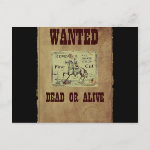 Carte Postale Recherché mort ou vivant