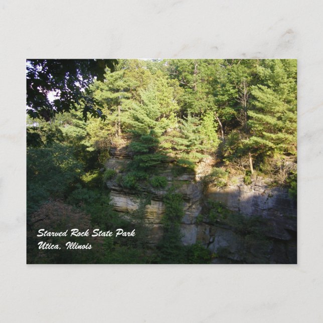 Carte Postale Recherche rock affamée (Devant)