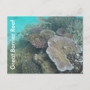 Carte Postale récif de la grande barrière queensland