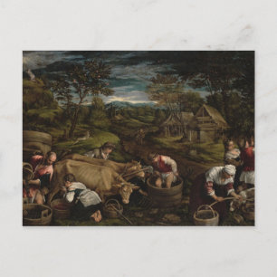 Carte Postale Récolte, , 1576