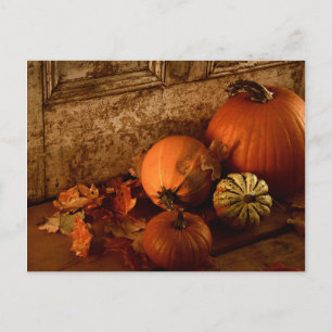 Carte Postale Récolte Automne/ Citrouilles Et Gourds À La Porte