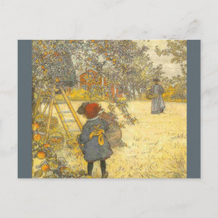 Carte Postale Récolte d'Apple par Carl Larsson
