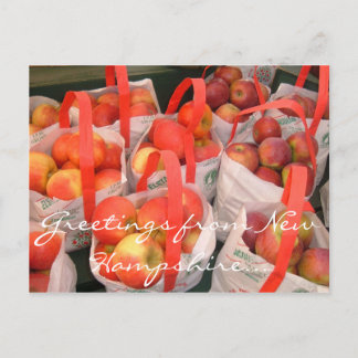 Carte Postale Récolte d'automne