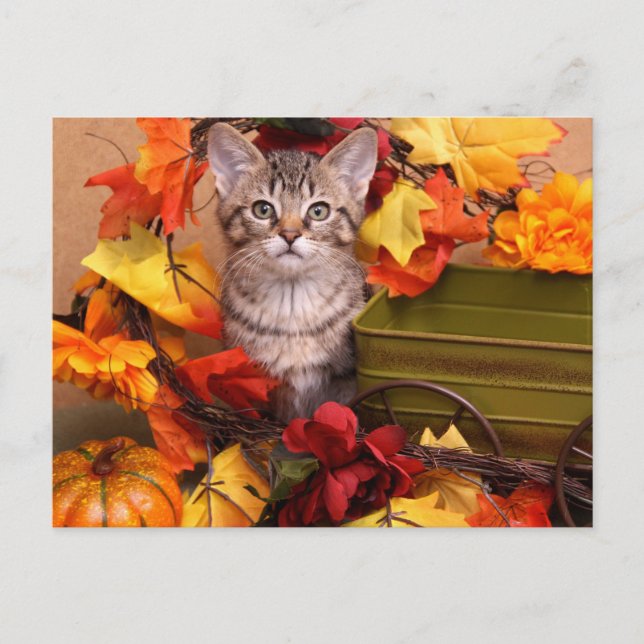 Carte Postale Récolte d'automne (Devant)