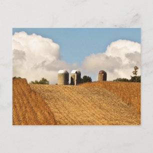 Carte Postale Récolte de céréales