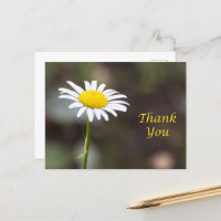 Reconnaissance en Fleurs : Un Merci de Marguerite