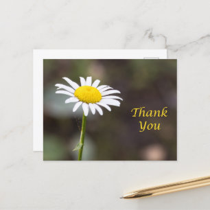Carte Postale Reconnaissance en fleurs : Un merci de marguerite 