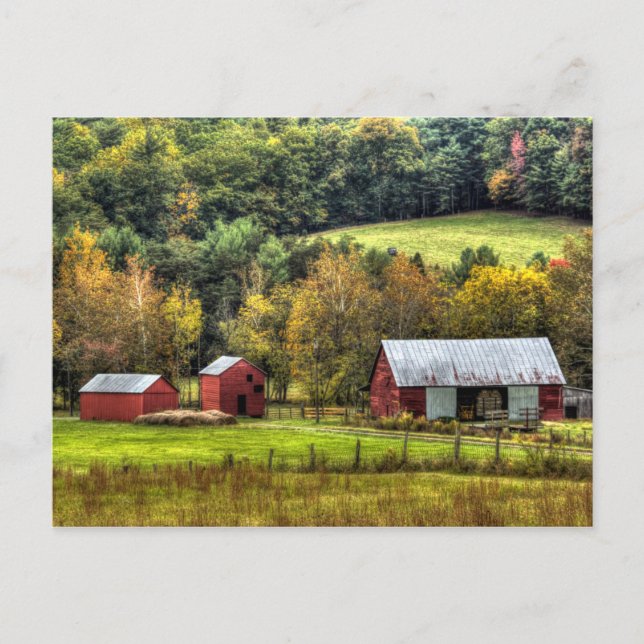 Carte Postale Red Barns Automne Automne Virginie Campagne (Devant)