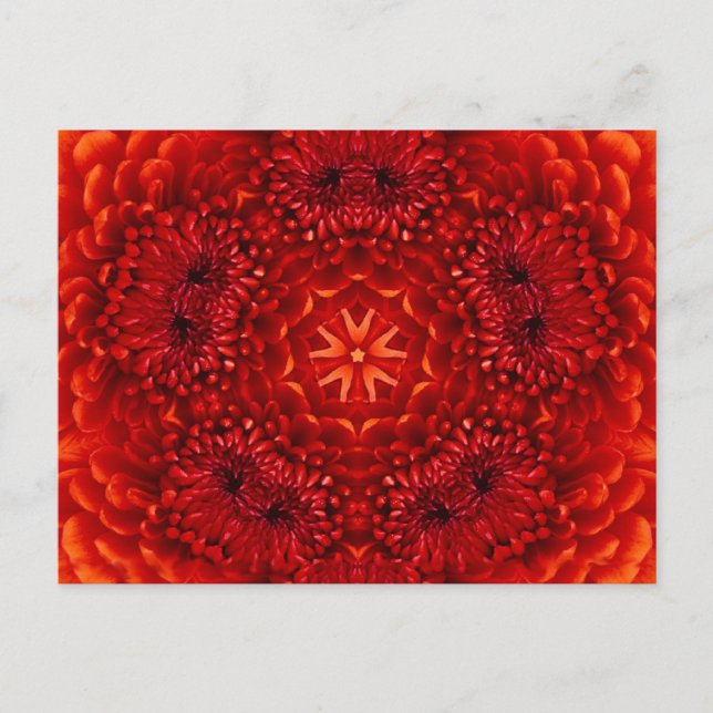 CARTE POSTALE RED DAHLIA FLOWER (Devant)