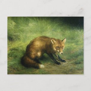 Carte postale Red Fox