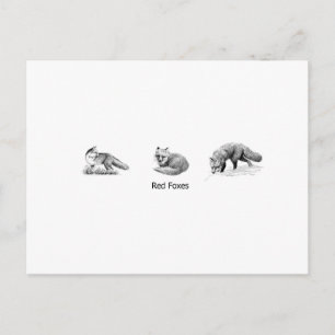 Carte Postale Red Fox Line Art (titre)