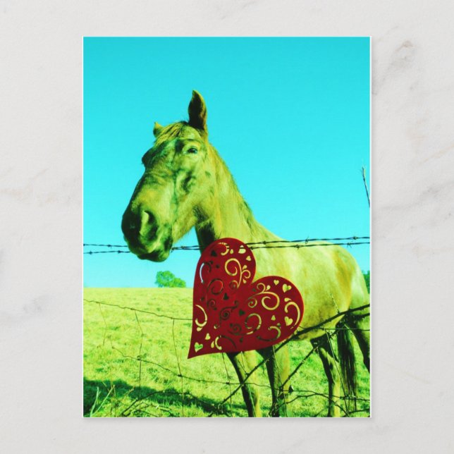 Carte Postale Red Heart and Horse (Devant)