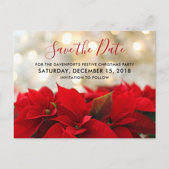 Carte Postale Red Poinsettias Noël Enregistrer la date (Devant)