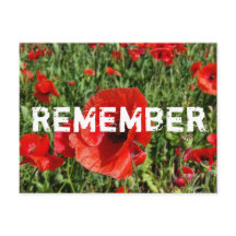 Carte postale Red Poppies