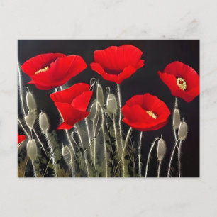 Carte Postale Red Poppies Nature Art