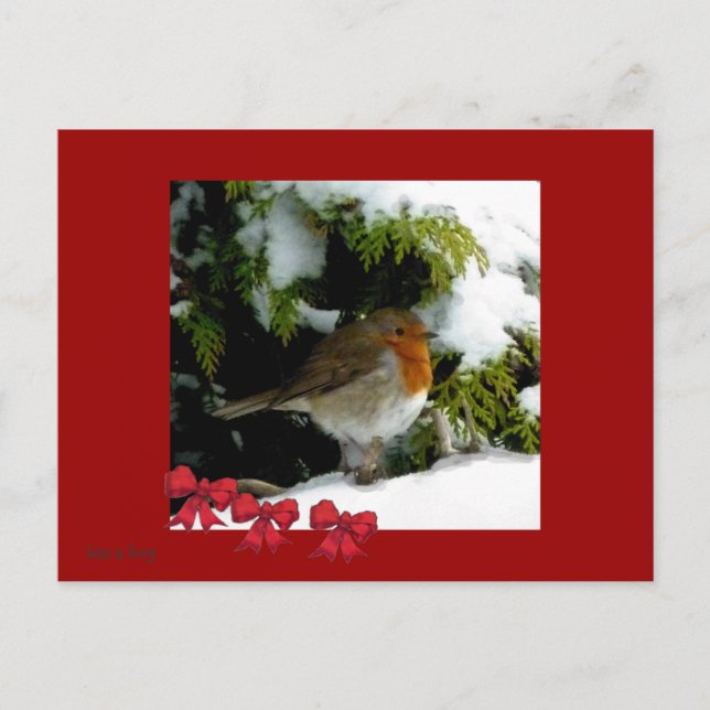 Carte postale Red Robin (Devant)