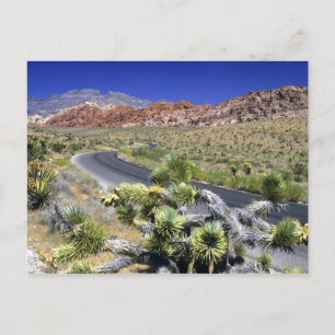 Carte Postale Red Rock Canyon National Conservation Area, Las