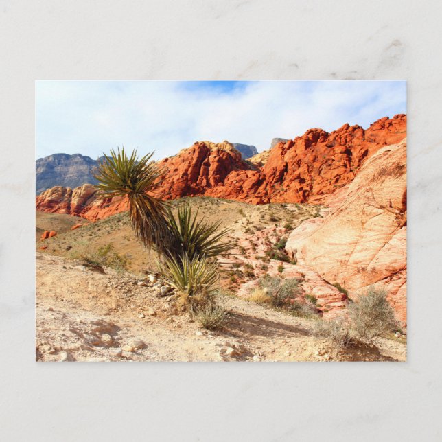 Carte Postale Red Rock Canyon Spring Mountains Nevada (Devant)