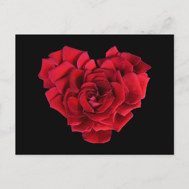 Carte Postale Red Rose Heart (Devant)