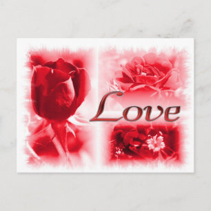 Carte Postale Red Rose Love Trio