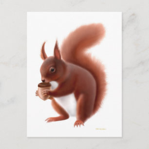 Carte postale Red Squirel