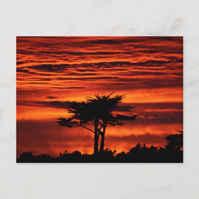 Carte Postale Red Sunset, Père Noël Cruz Californie (Devant)